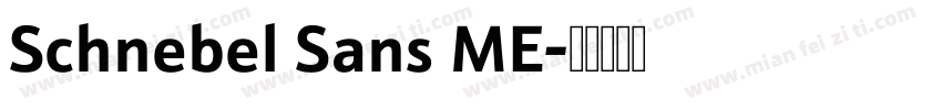 Schnebel Sans ME字体转换
